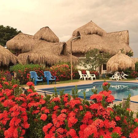 Palomino Breeze Hostal Exterior photo