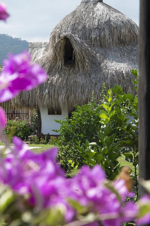 Palomino Breeze Hostal Exterior photo