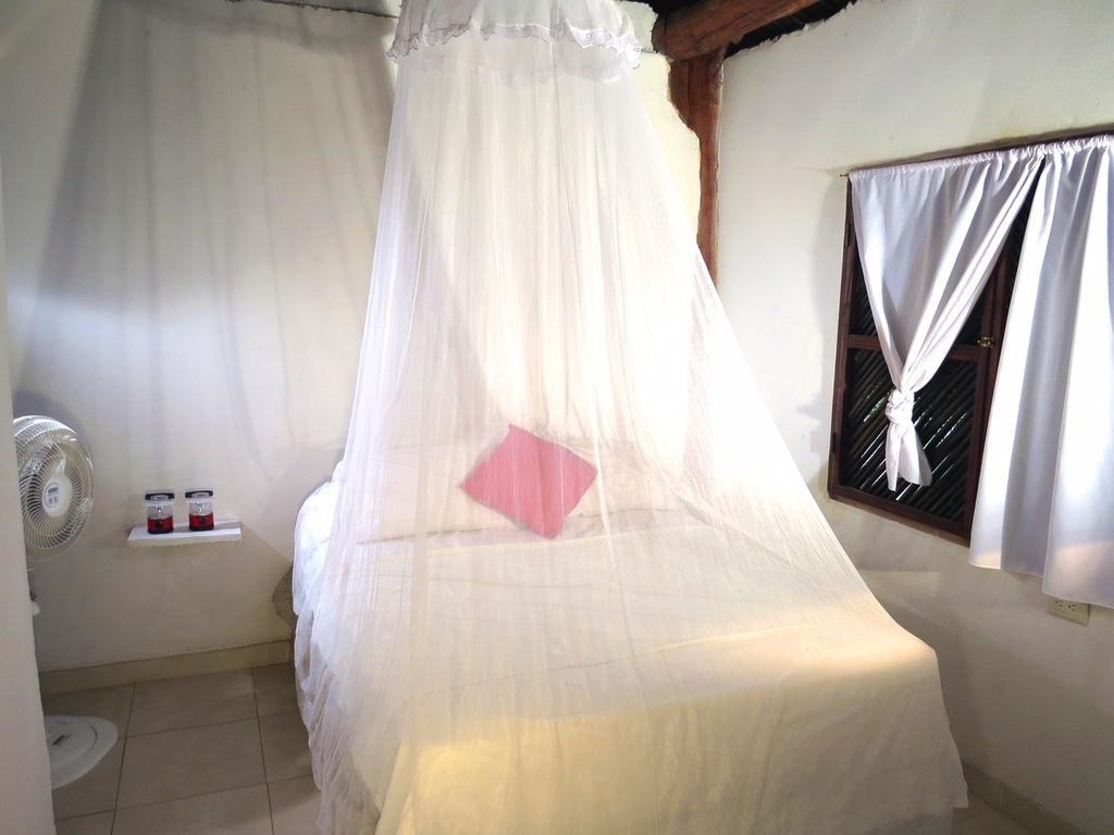 Palomino Breeze Hostal Room photo